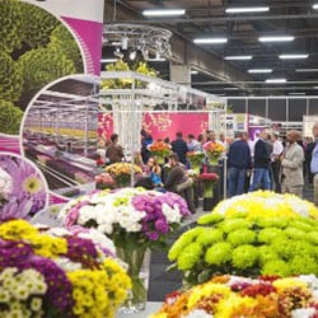 Van woensdag 4 tot en met vrijdag 6 november a.s. organiseert bloemenveiling FloraHolland de FloraHolland Trade Fair Aalsmeer. Exporteurs, groothandelaren  ...