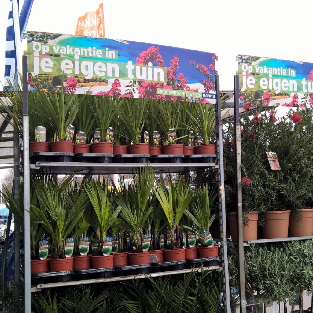 Om de verkoop van planten bij Gamma extra stimulans te geven, aansluitend bij hun promotionele activiteiten, hebben wij ...