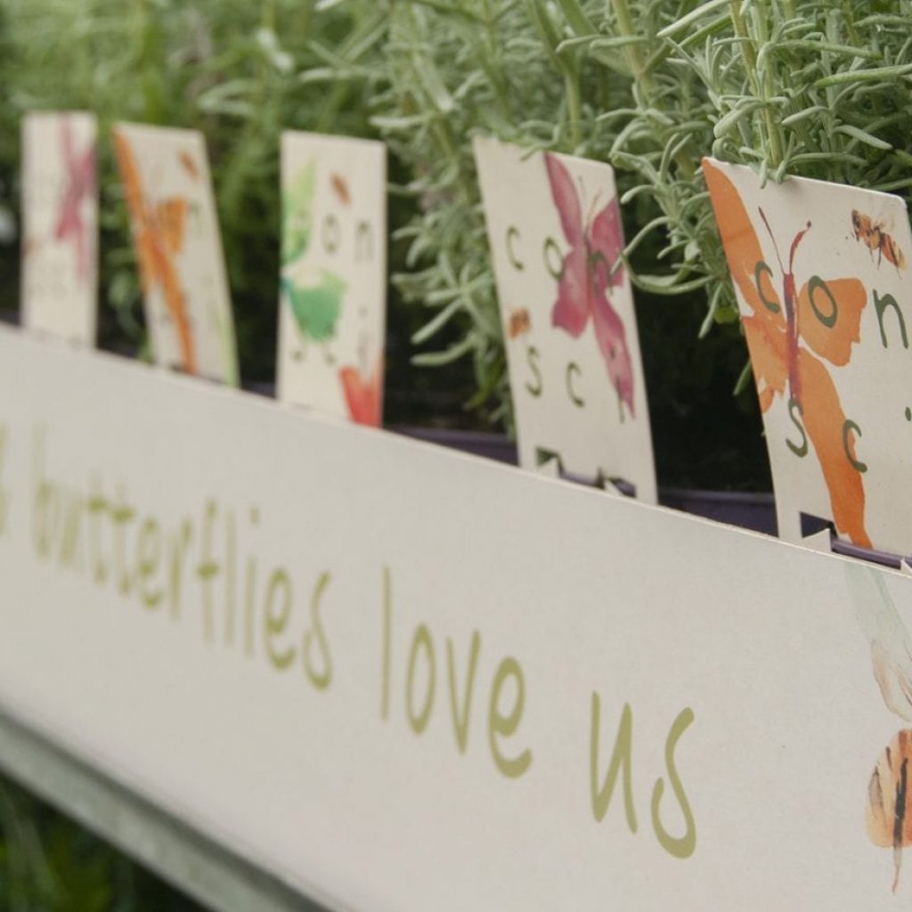 Valt uw product wel voldoende op in de schappen van tuincentra en/of supermarkten? Wij ontzorgen u in ontwerp en productie...