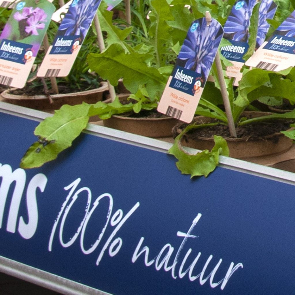 De nieuwe lijn ‘100% Natuur’ van Griffioen is een in het oog springend concept waar de boodschap ‘plant en pot samen planten’ sterk wordt beschreven en gevisualiseerd...